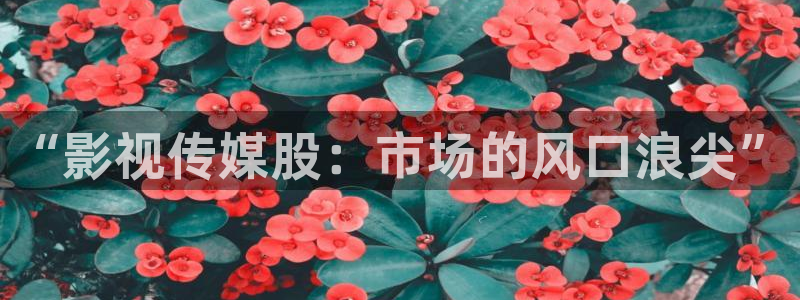 青柠电影在线看：“影视传媒股：市场的风口浪尖”