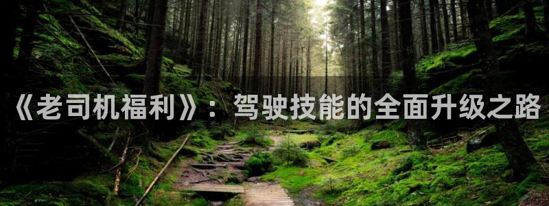 青柠影院免费观看在线高清：《老司机福利》：驾驶技能的全面升级之路