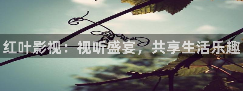 青柠影院电视剧全集高清
