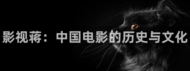 青柠影院免费观看：影视蒋：中国电影的历史与文化