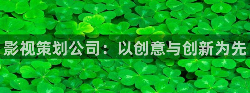 青柠在线观看高清电影：影视策划公司：以创意与创新为先